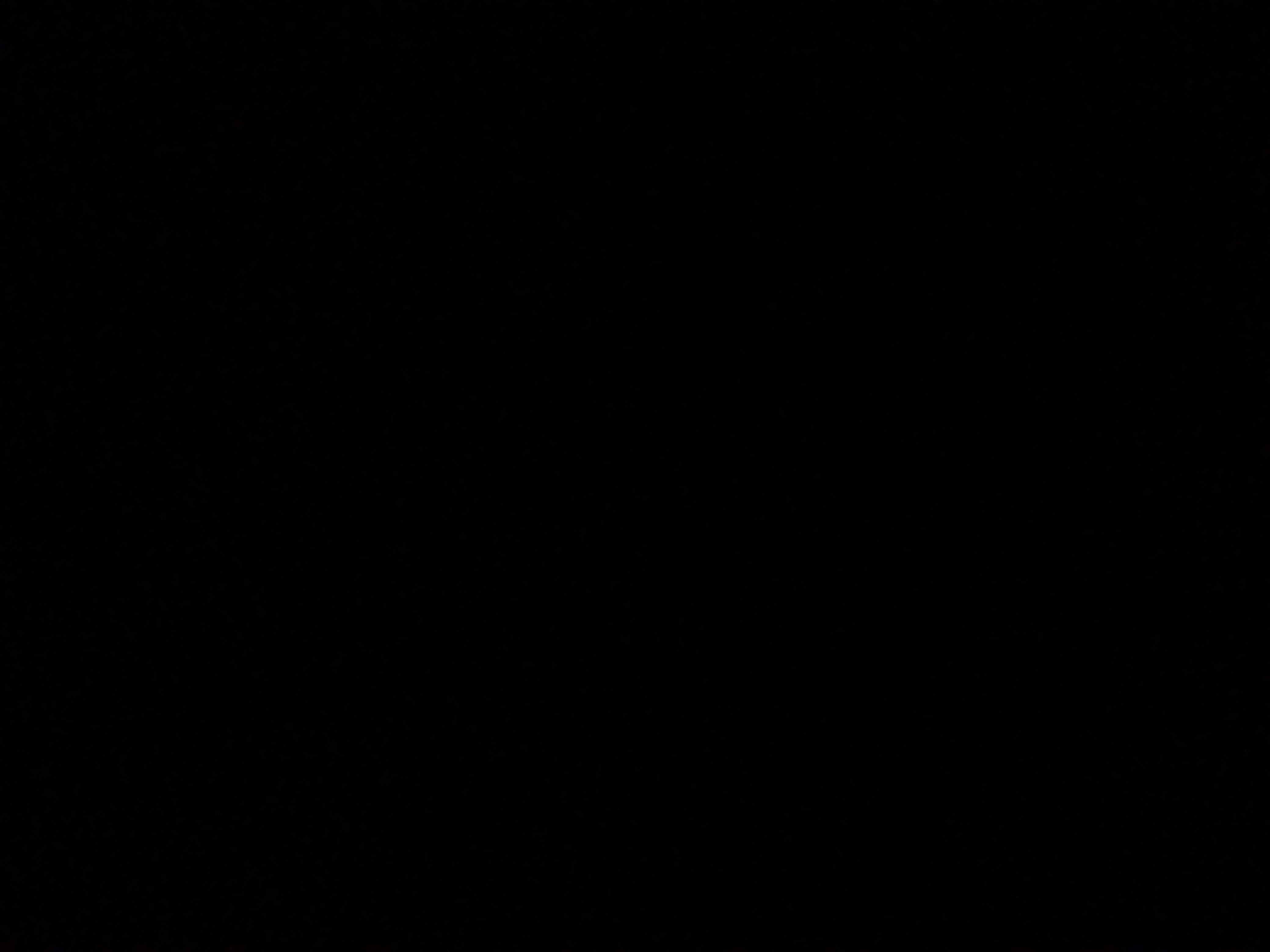 Logo of SINGLE ROOM FOR RENT