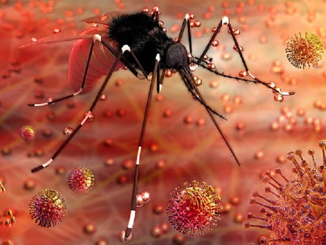 6 Signs You May Have the Zika Virus -- Symptoms, Causes, Effects, Treatment and Prevention