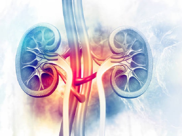 8 Signs You May Have Kidney Failure -- Symptoms, Causes, Effects, Treatment and Prevention