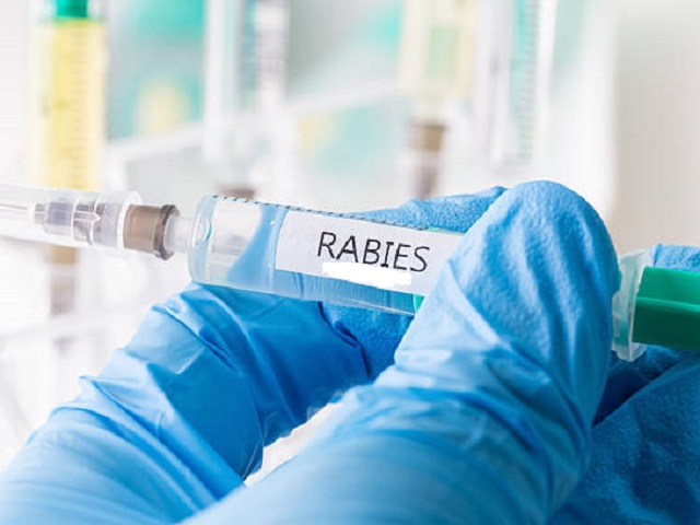 Critical Signs that You May Have Rabies -- Symptoms, Causes, Effects, Treatment and Prevention