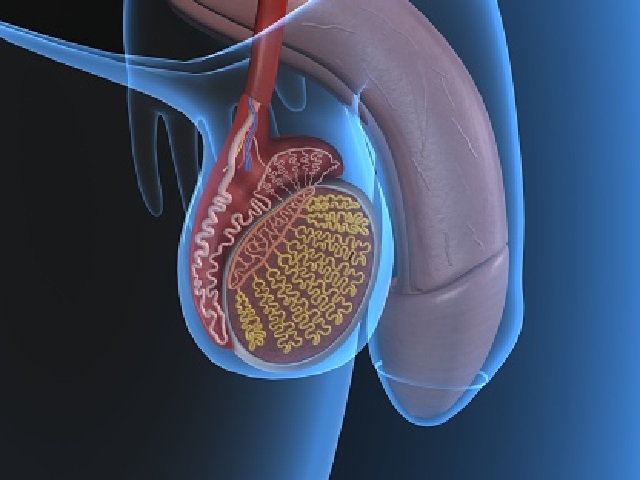 5 Signs You May Have Testicular Cancer -- Symptoms, Causes, Effects, Treatment and Prevention