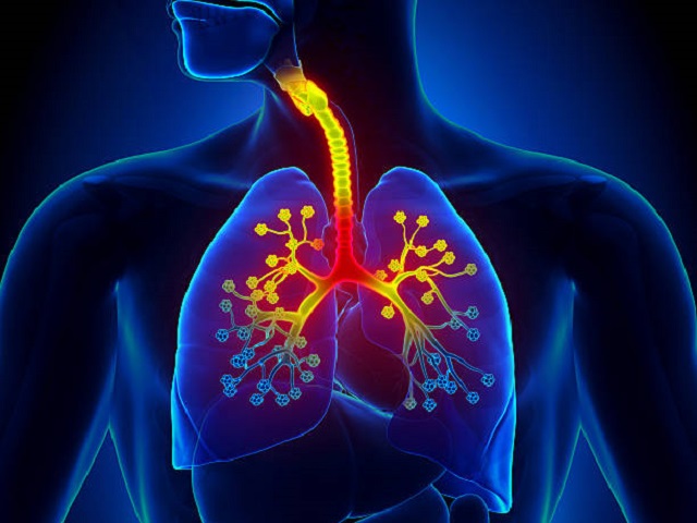 7 Signs You May Have Bronchitis -- Symptoms, Causes, Effects, Treatment and Prevention