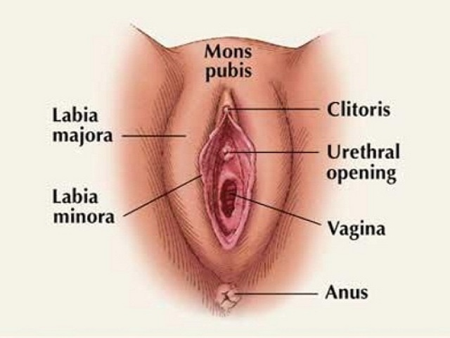 6 Signs You May Have Vaginal Cancer -- Symptoms, Causes, Effects, Treatment and Prevention