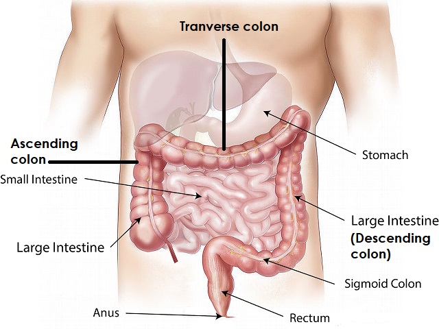 5 Signs You May Have Colon Cancer -- Symptoms, Causes, Effects, Treatment and Prevention